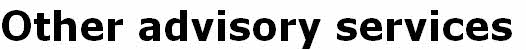 Other advisory services
